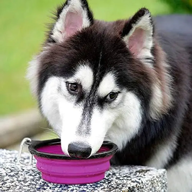 Cudavo 2-Pack Collapsible Travel Bowls
