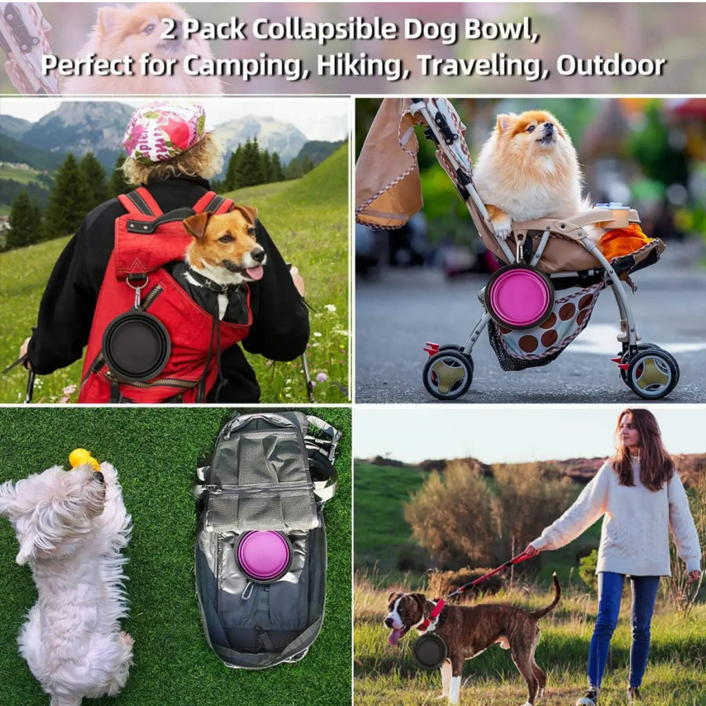 Cudavo 2-Pack Collapsible Travel Bowls
