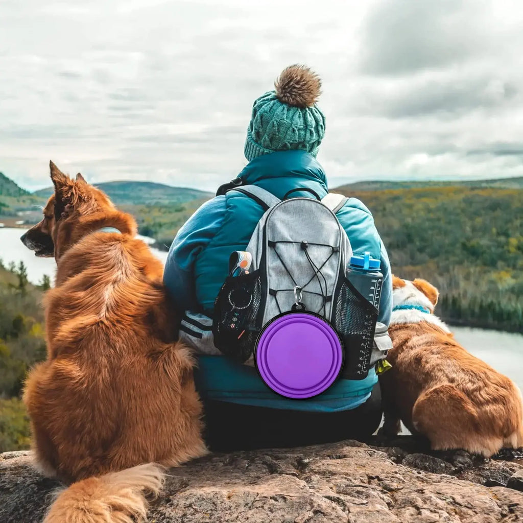 Cudavo 2-Pack Collapsible Travel Bowls
