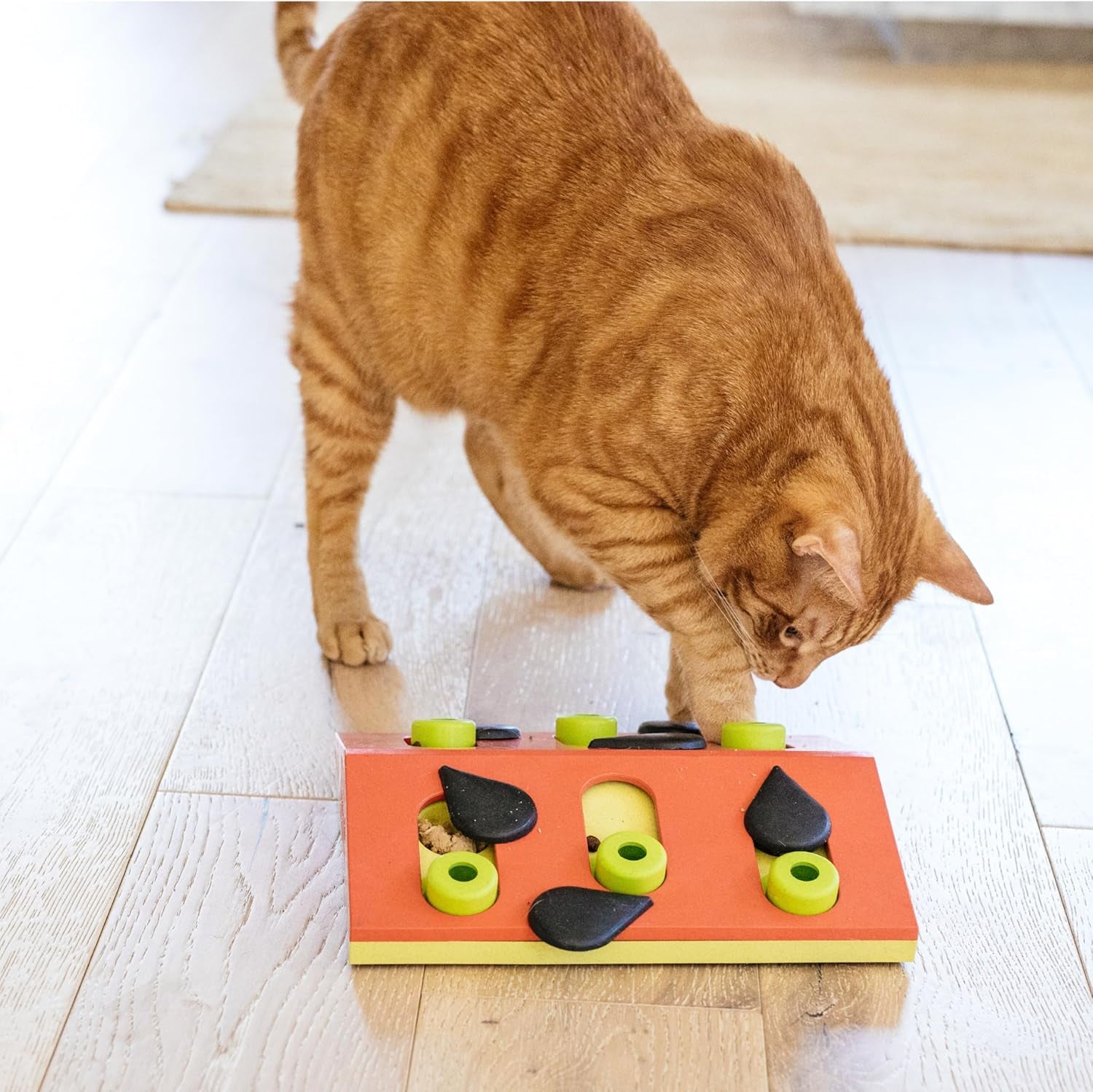 Nina Ottosson Melon Madness Puzzle & Play Cat Toy, 10.6" | Level 2 Intermediate, 12 Hidden Treat Cups, Problem Solving, Interactive Enrichment, Slow Feeder, Indoor Cats & Kittens