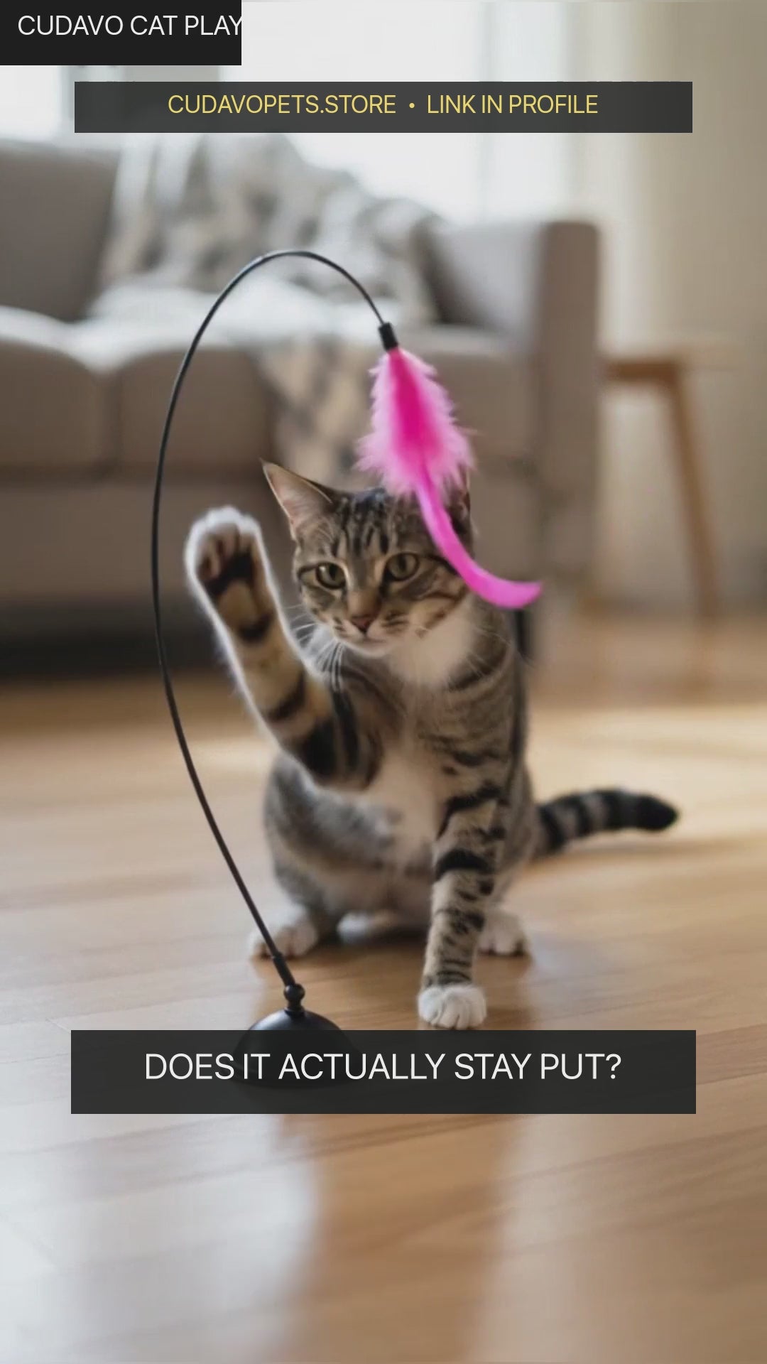 Cudavo Suction-Cup Cat Wand